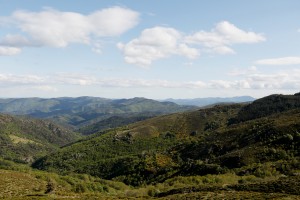 Cévennes